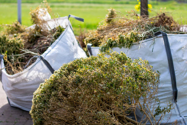 Best Yard Cleanup Services  in Brookdale, SC